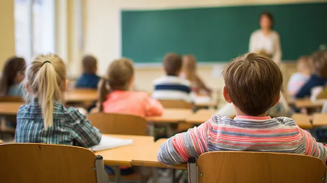 Schools & catchments