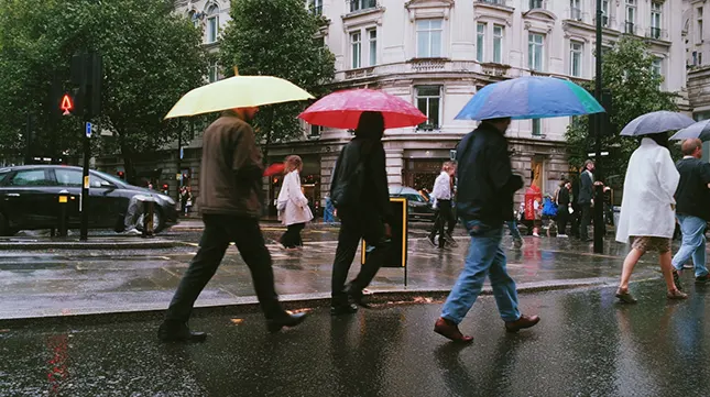 The Changing Seasons