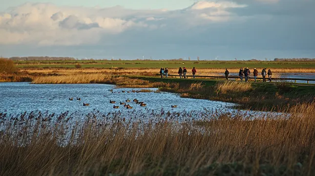 5. Lifestyle and 2026 Outlook