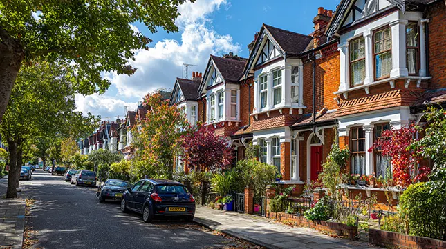 8. Find your bearings locally