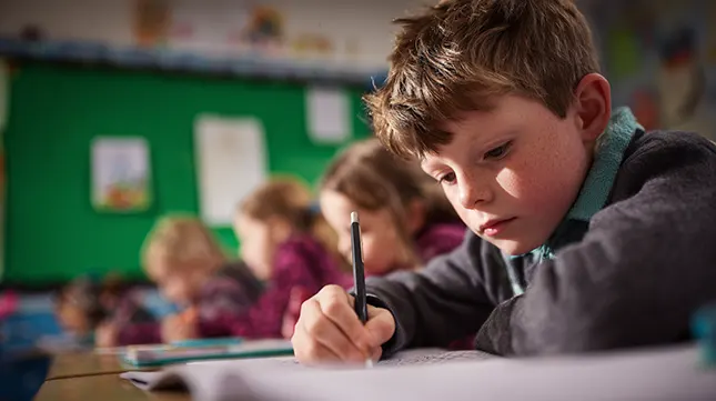 Schools and Education