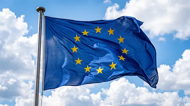 Customs, Visas, and the Post Brexit Paperwork