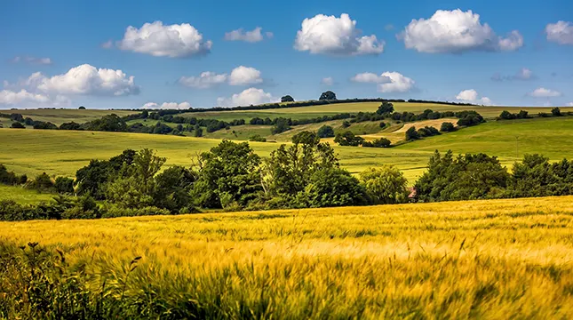 Wolds Countryside on Your Doorstep